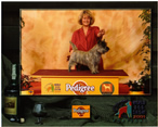 Cairn Terrier Galaxia