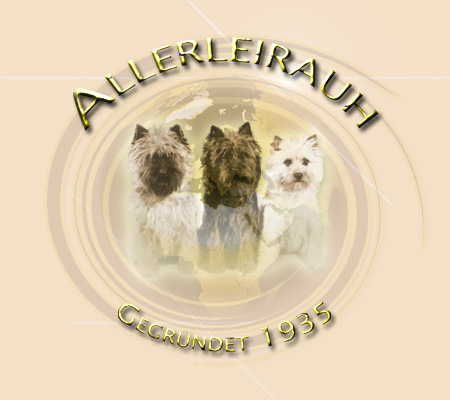 Cairn Terrier Zucht Allerleirauh