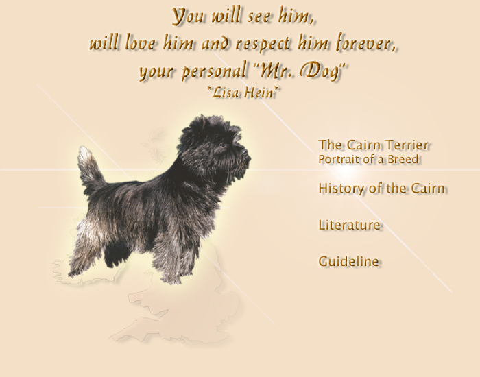 Startseite Rasse Cairn Terrier Zucht Image